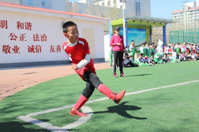 钟诚出任吉林队主教练 曾帮助辽宁夺队史首冠